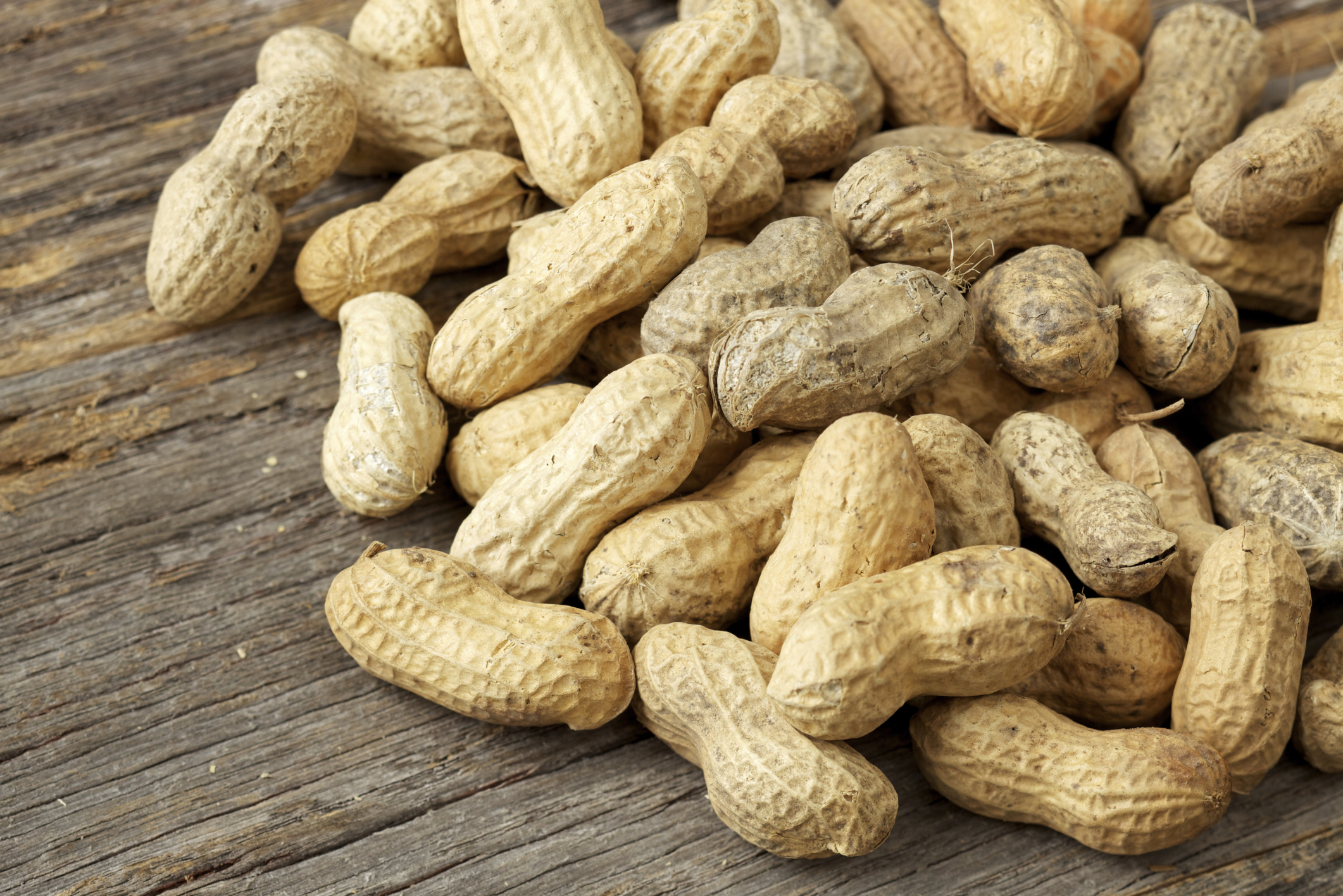 Are Peanuts Nuts?