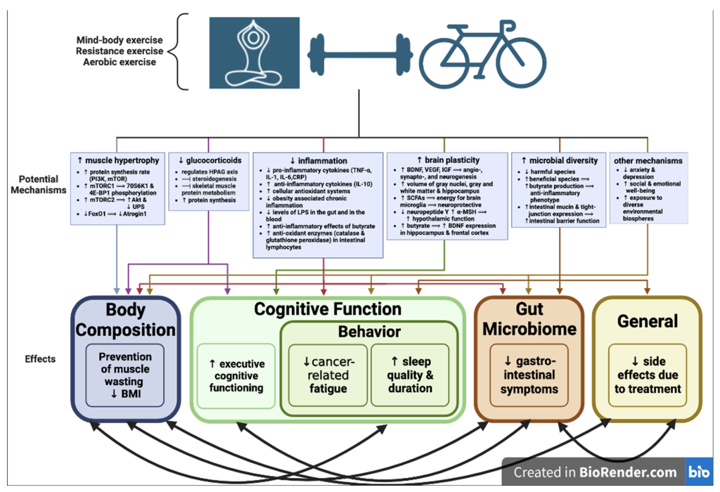 Exploring the Multifaceted Synonym A Comprehensive Analysis