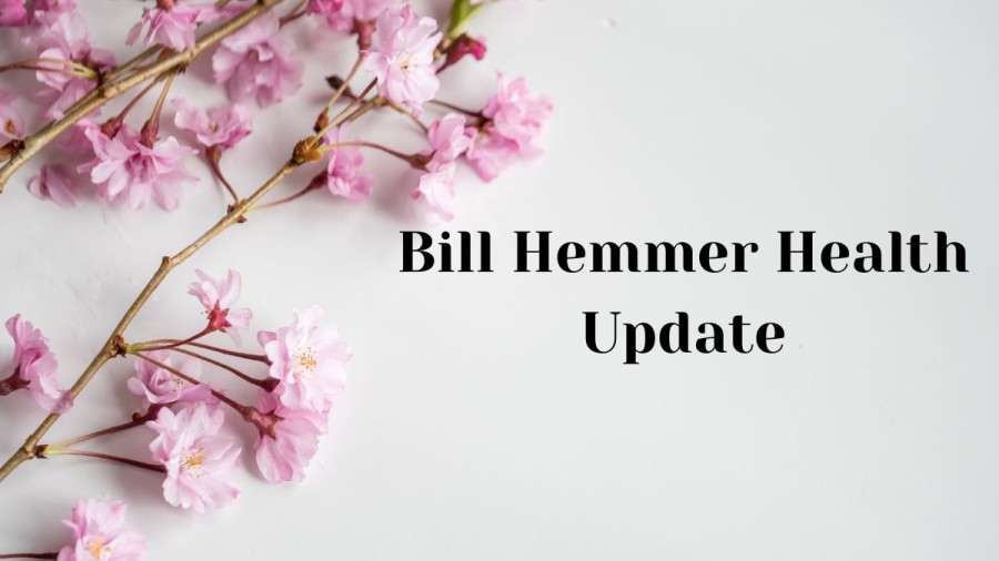 Bill Hemmer Health Update, Is Bill Hemmer Sick? What Happened To Bill