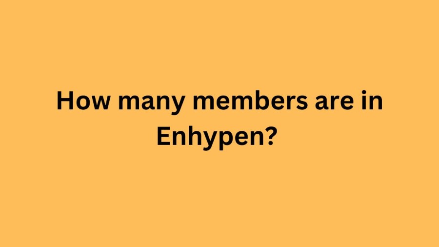 How many members are in Enhypen? What are the positions of Enhypen