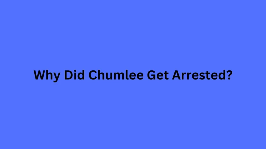 Why Did Chumlee Get Arrested? Where Is Chumlee Now?